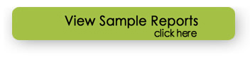 pre-litigation asset search